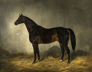 Kôň v stajni (maľba mierne poškodená, reštaurátorské zásahy)