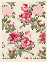 Design for floral wallpaper