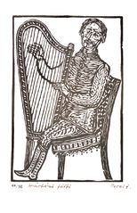 Muž s harfou