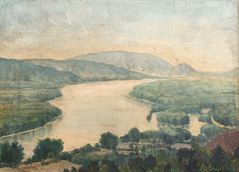 Pohľad na Dunaj